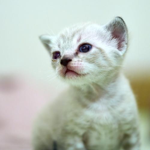 Babette <br><sub> (09.08.2023, Fujifilm GFX100S, 120 mm, f/4, 1/60, ISO 6.400)</sub>