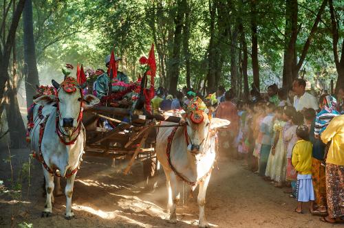 Buddhistisches Fest. Die Prinzen und Prinzessinnen. Vor dem eigentlichen Fest findet ein Umzug durch das Dorf statt. Viele Kinder sitzen dabei auf von Rindern gezogenen Karren. Mit sehr lauter Begleitmusik und vielem Staub geht zum Festgelände. <br><sub> (26.12.2012, Nikon D4, 56 mm, f/5, 1/200, ISO 800)</sub>
