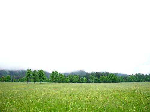 Morgendlicher Nebel und tiefhängende Wolken verbergen die mächtigen Berge im Hintergrund. <br><sub> (04.06.2023, Fujifilm GFX100S, 23 mm, f/6,4, 1/125, ISO 125)</sub>