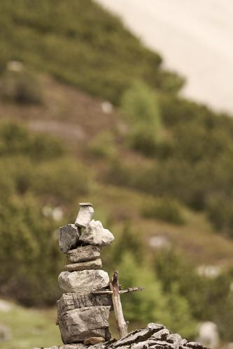 Labil, nicht wetterfest. Aber Glück bringend? <br><sub> (08.06.2023, Sony A7R5, 120 mm, f/4, 1/2.500, ISO 250)</sub>