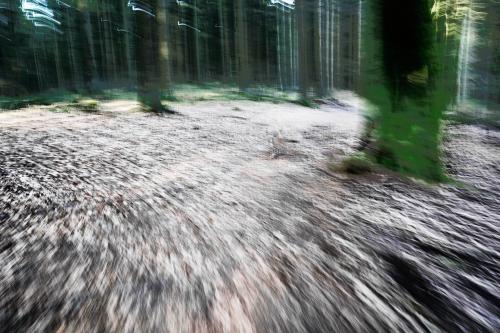 Flucht. <br><sub> (24.02.2021, Sony A7R4, 30 mm, f/8, 1/4, ISO 100)</sub>